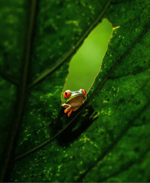 Costa Rica